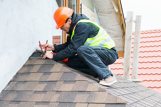 Best Roof Gutter Cleaning  in Milford Mill, MD